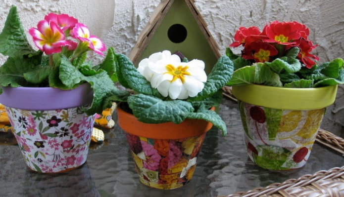 Blumen in Töpfen