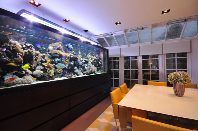Innenraum mit Bodenaquarium