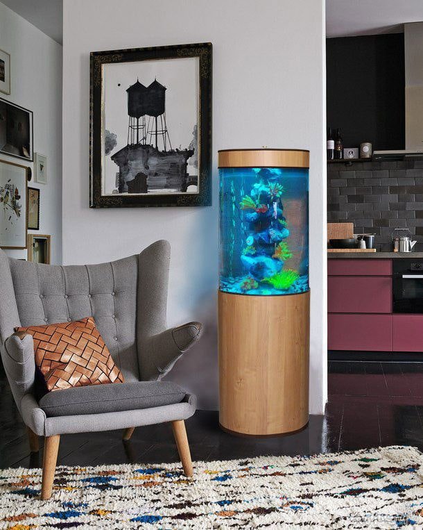 Formen und Größen des Aquariums
