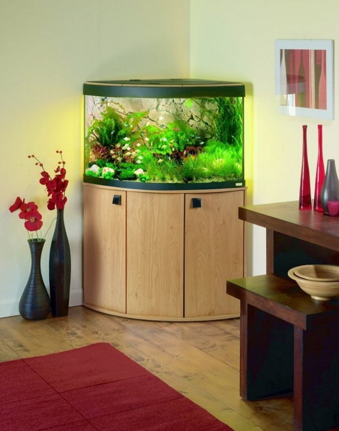 Formen und Größen des Aquariums