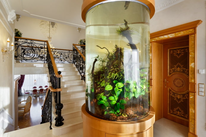 Aquarium neben der Treppe in einem Privathaus