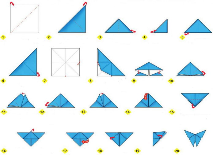 Schmetterlings-Erstellungsdiagramm