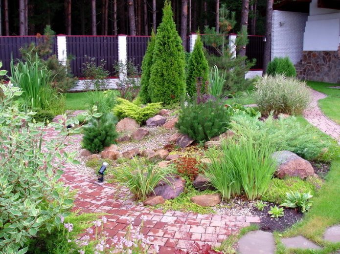 Getreide im Blumenbeet