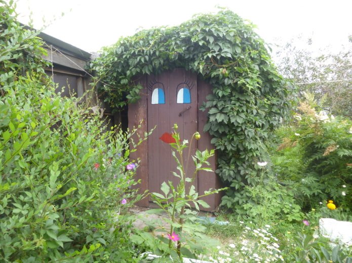 Kletterpflanzen auf der Toilette