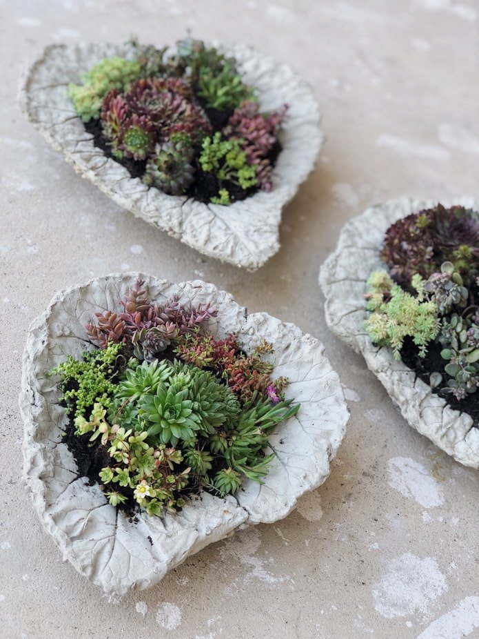 Blumentopf aus Beton