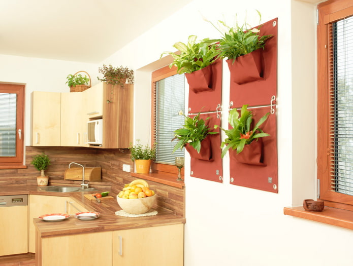 Pflanzen an der Wand im Kücheninterieur