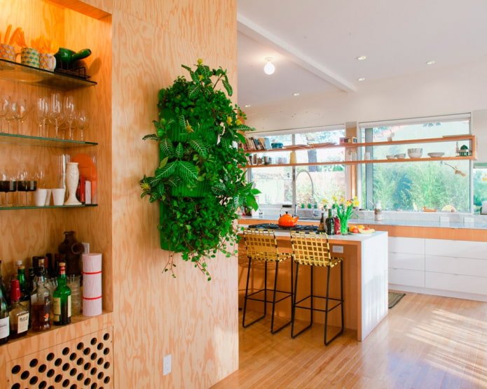 Pflanzen an der Wand im Kücheninterieur