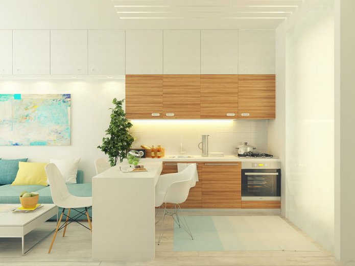 Designprojekt eines Studios von 29 m².