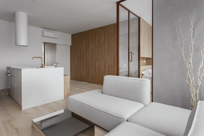 40 Quadratmeter große Wohnung im minimalistischen Stil