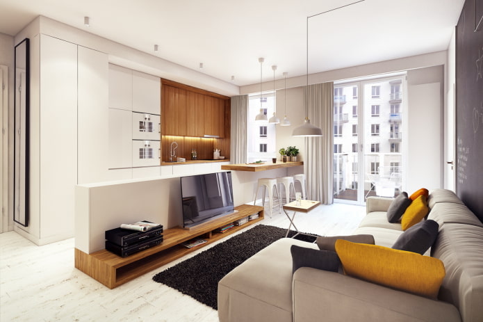 Innenansicht einer 50 Quadratmeter großen Wohnung im modernen Stil