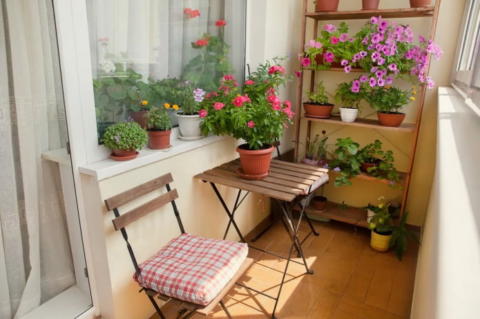 Blumen auf der Loggia
