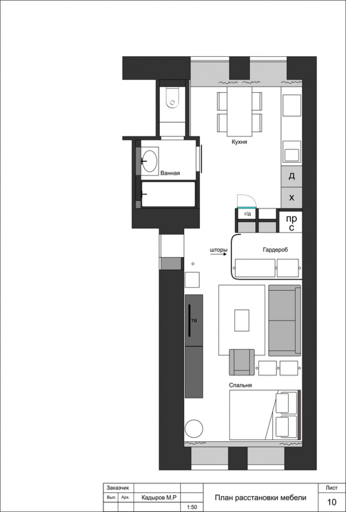 Grundriss einer Einzimmerwohnung mit Schwingtür