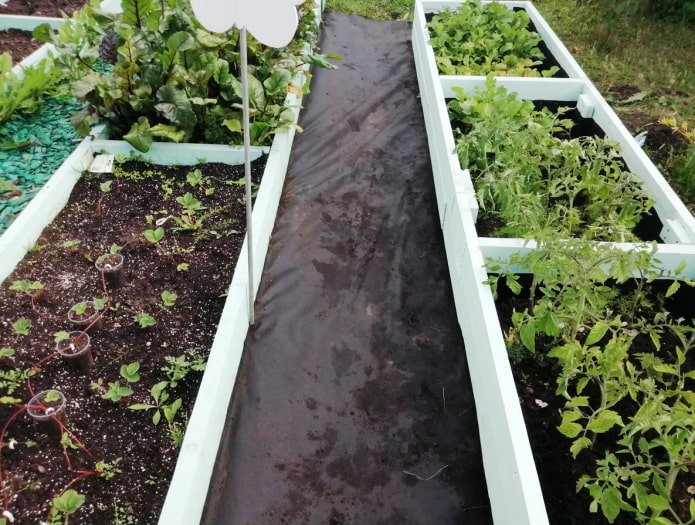 Weg zwischen Beeten aus Agrofaser