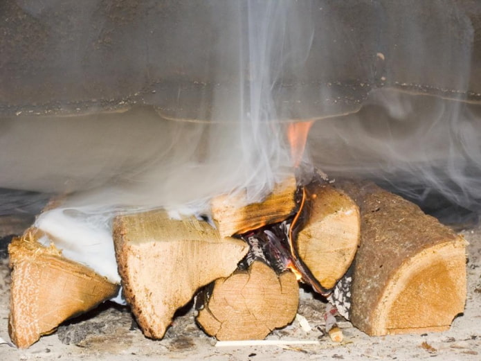 Rohe Holzscheite im Ofen
