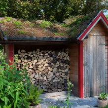 Wie man einen Holzschuppen für ein Sommerhaus baut - Schritt-für-Schritt-Anleitungen und Ideen zur Inspiration-5