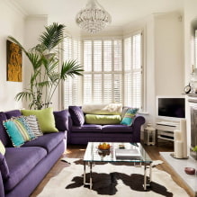 Wohnzimmerdesign mit zwei Sofas-1