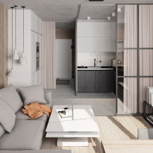 Designmerkmale der Euro-2-Zimmer-Wohnung-4