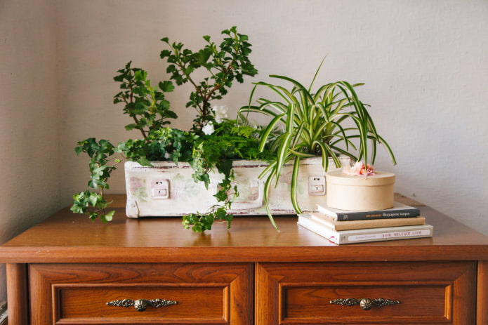 Blumenarrangement
