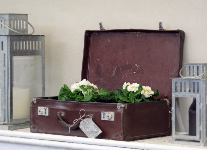Weiße Blumen