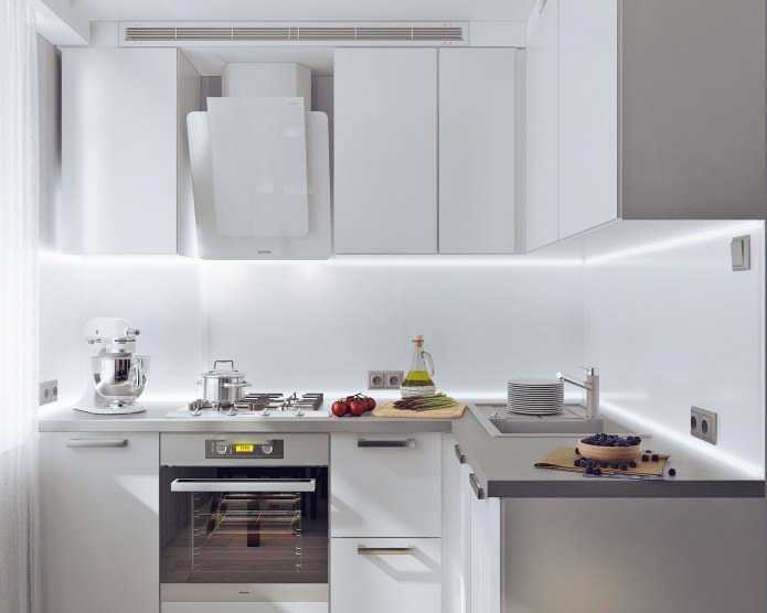 Küche in einer 50 Quadratmeter großen Zweizimmerwohnung