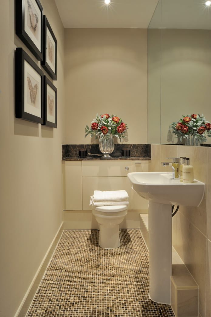 Schrank hinter der Toilette im Toilettenraum