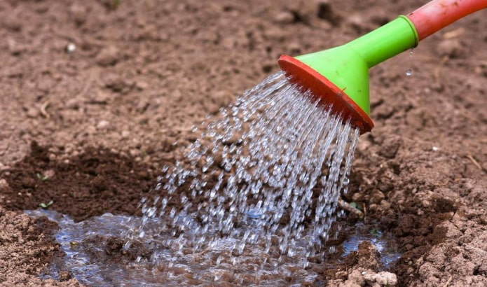 Kochendes Wasser