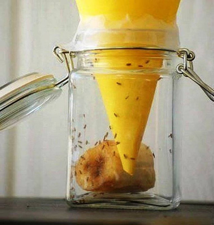 DIY Mückenfalle