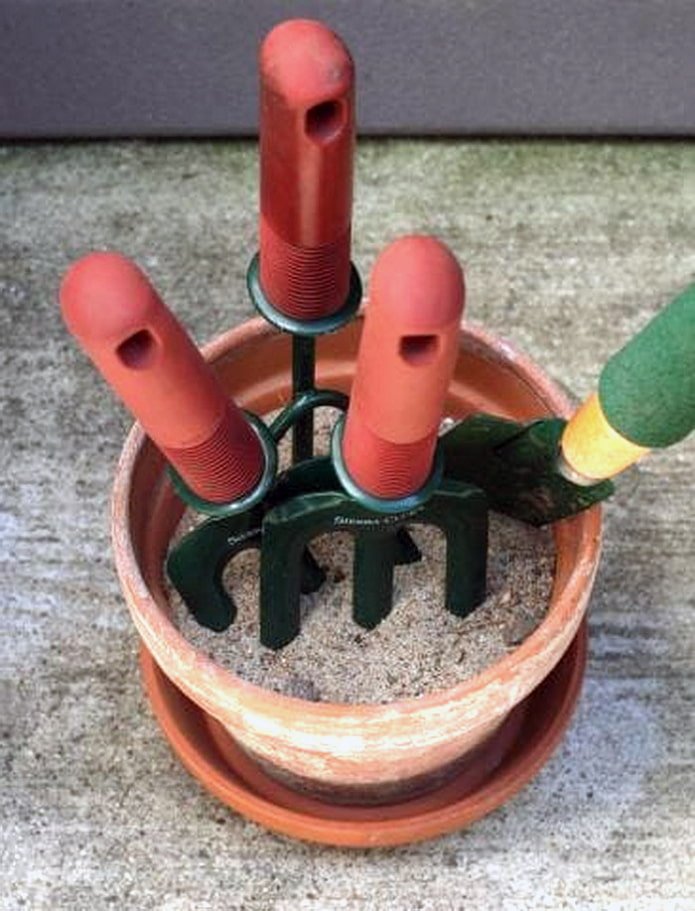 Inventar in einem Topf mit Sand