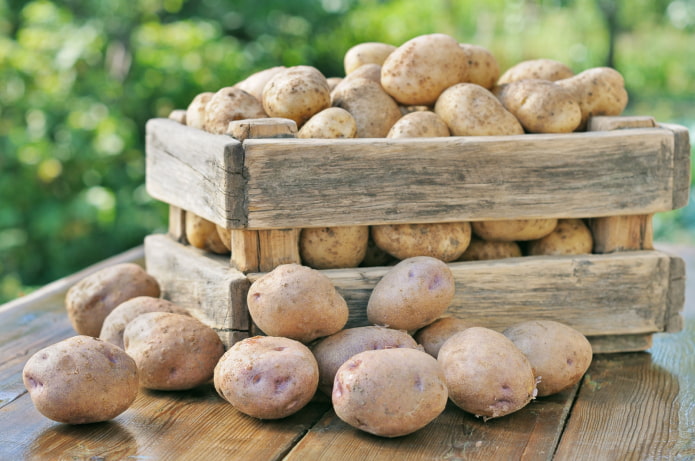 Kartoffeln