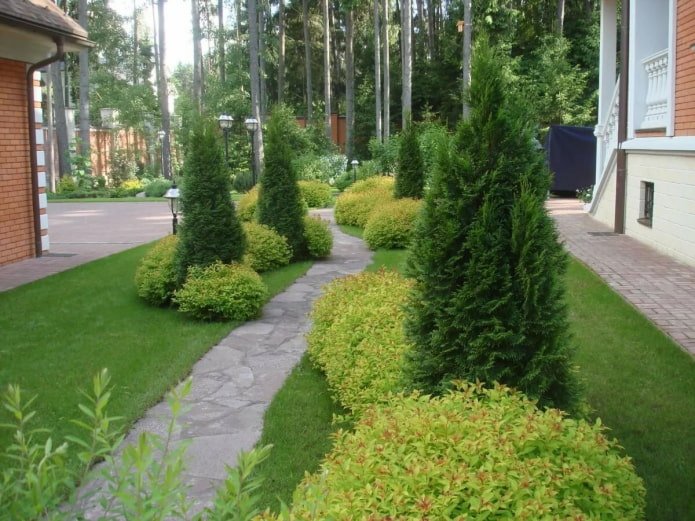 Gartenweg eingerahmt von Nadelbaumgruppen