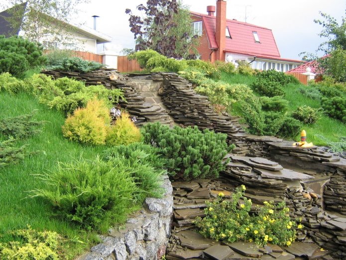 Terrassenhang mit Nadelbäumen und Treppe