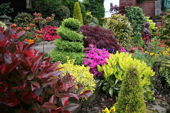 Blumenbeet mit beschnittenen Nadelbäumen und Blumen