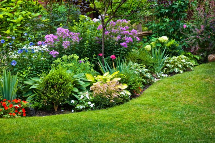 Sommerblühendes Mixborder