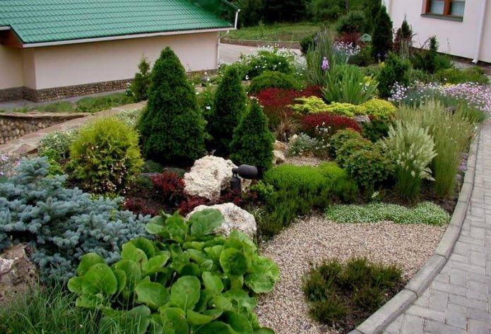 Blumenbeet mit Koniferen und Stauden