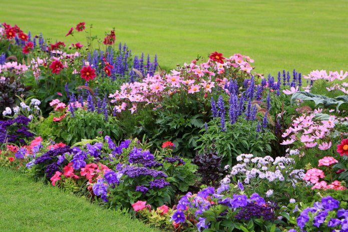 Ein mehrstöckiges Blumenbeet mit Einjährigen