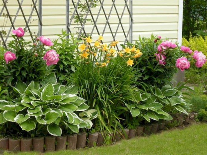 Blumenbeet mit Pfingstrosen