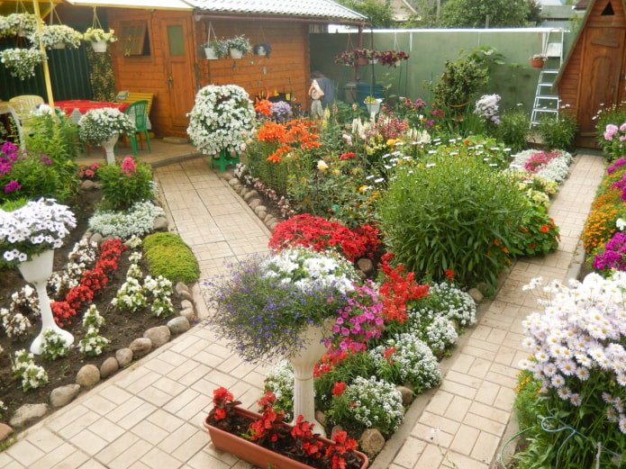 Garten auf dem Grundstück