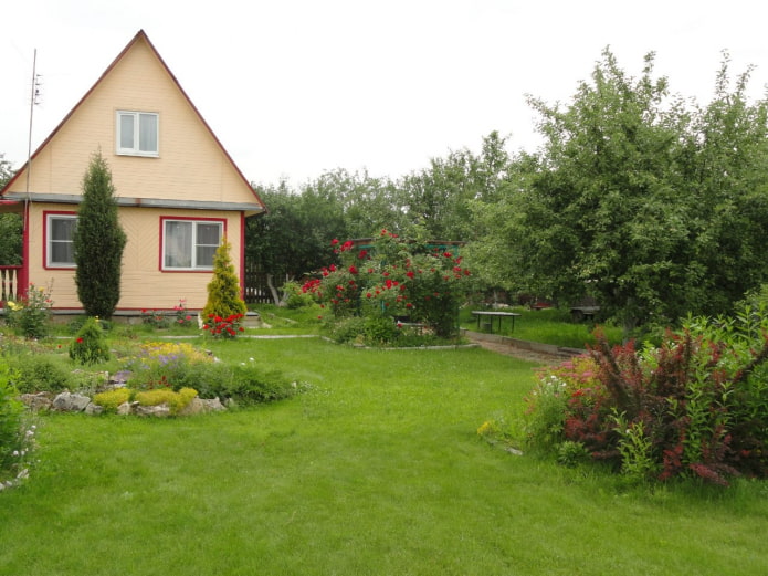 Rasen und Haus