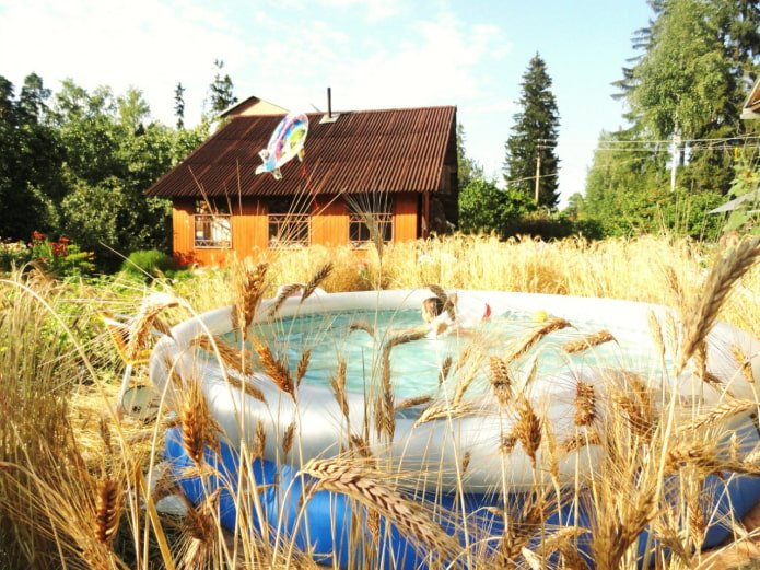 Pool im Feld