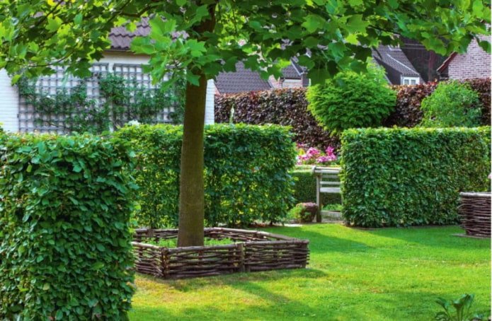 Hecke