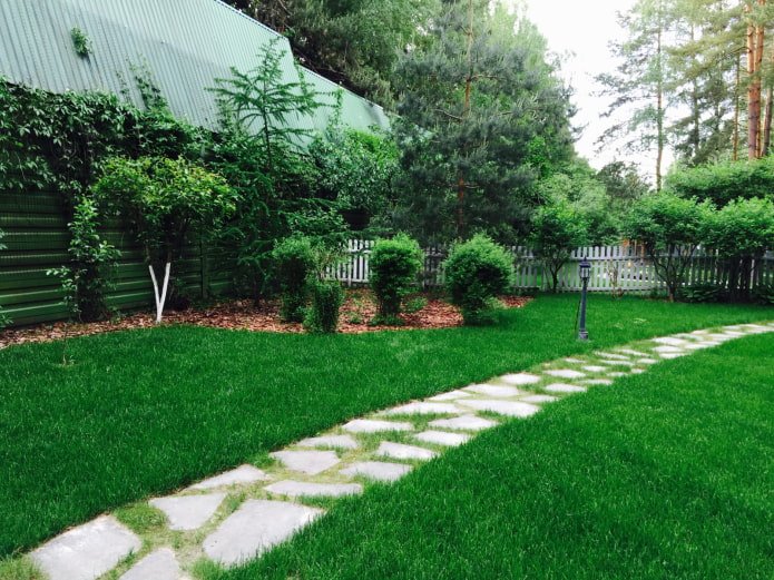 Rasen im Garten