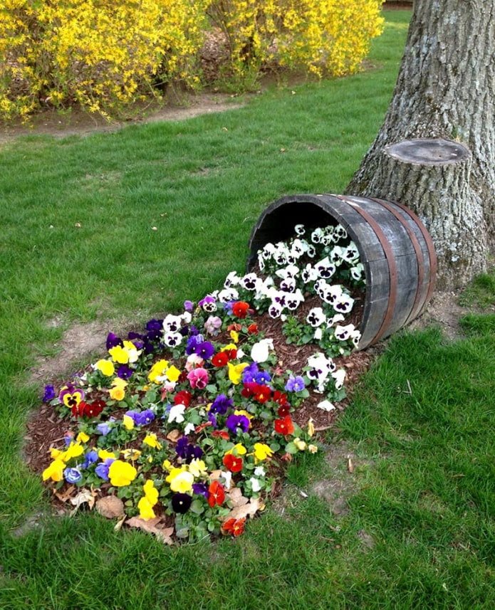 ungewöhnliches Blumenbeet auf dem Gelände