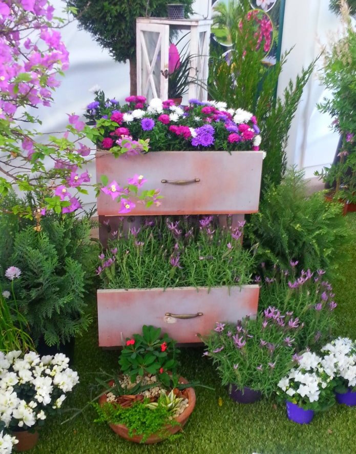 Blumen in einer Kommode im Freien