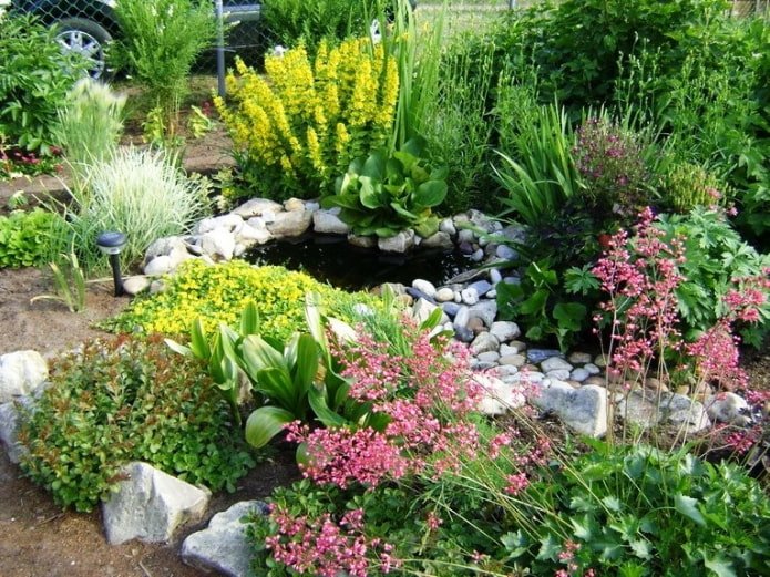 Kleiner Teich im Garten