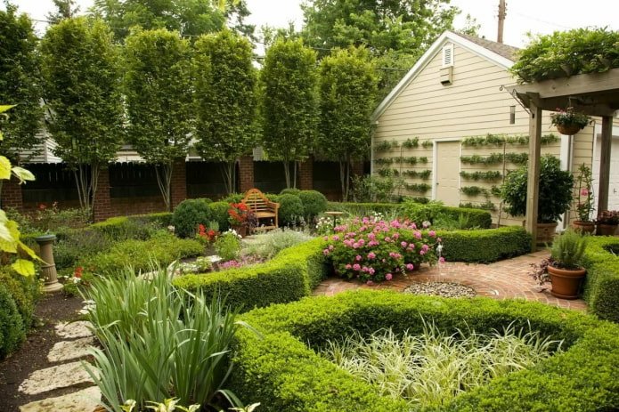 Hecke im Garten