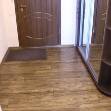 Wie wählt man Linoleum für den Flur aus?-3
