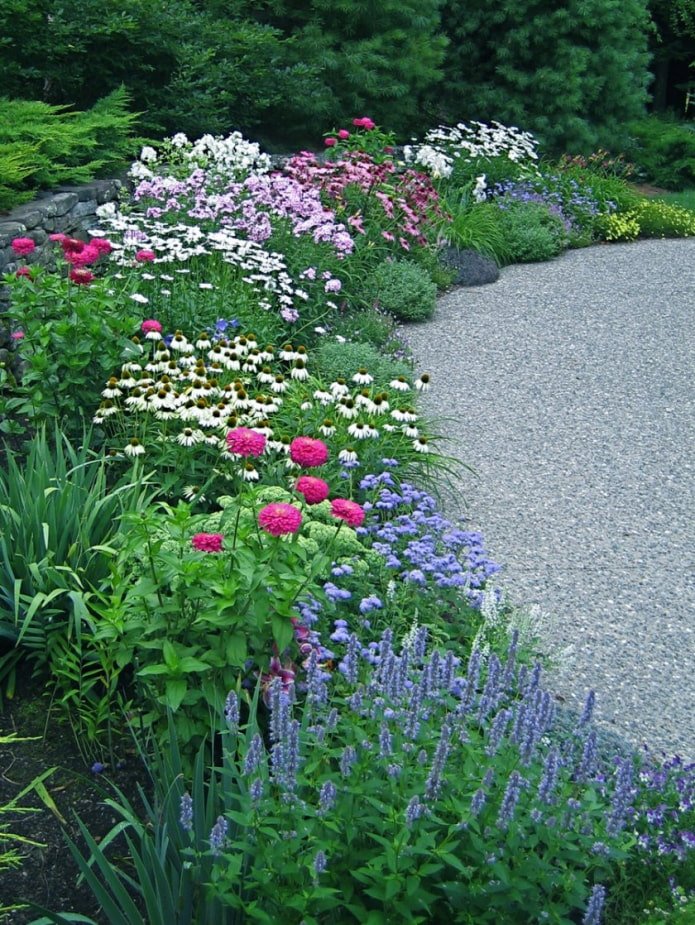 Blumen-Mixborder