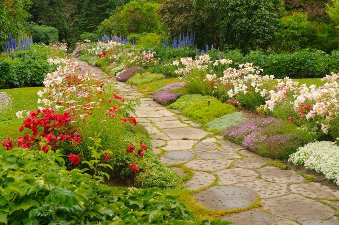 Blumen entlang des Weges