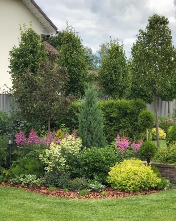 Büsche in einem Mixborder
