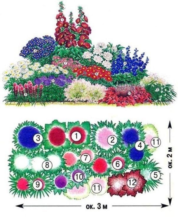 Blumen-Mixborder